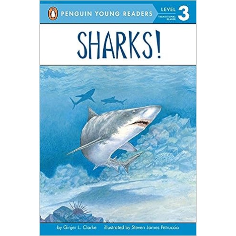 Sharks! (All Aboard Reading) Paperback