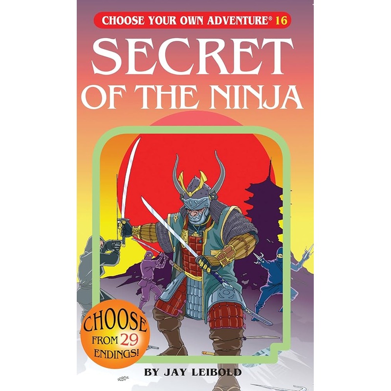 Secret Of The Ninja
