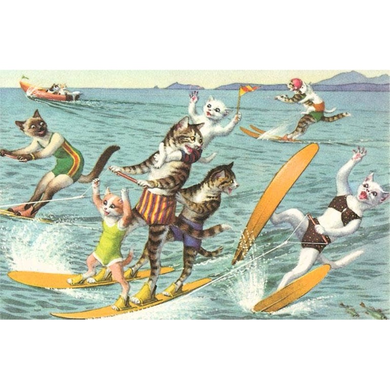 Found Image Press – Postcard KC-181 Crazy Cats Waterskiing