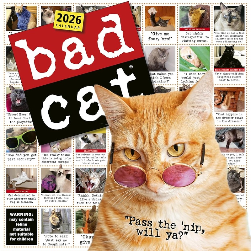 Bad Cat Wall Calendar 2026: Celebrating the Misfits of the Feline World