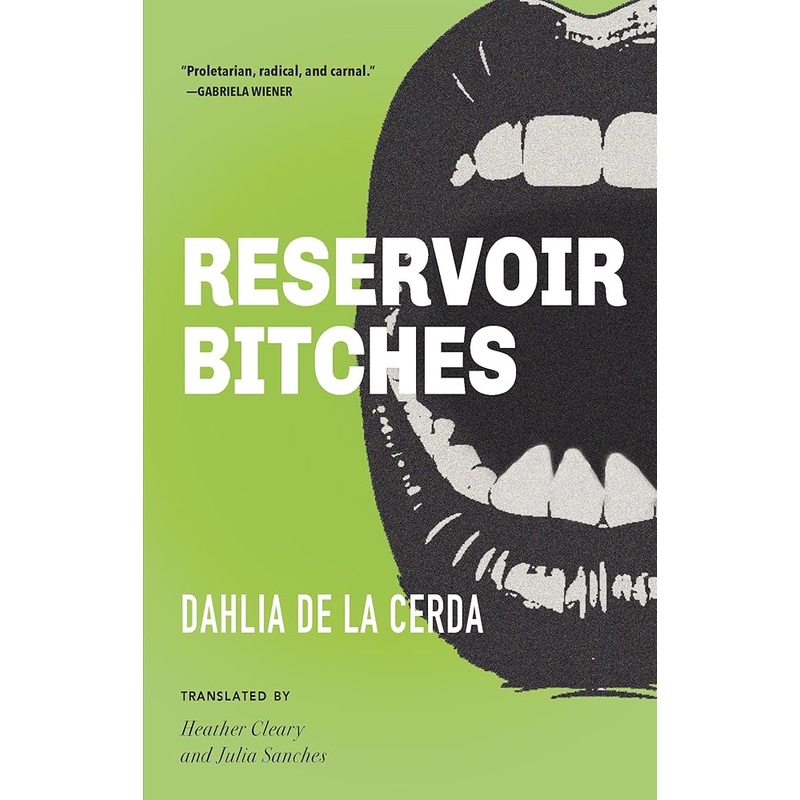Reservoir Bitches: Stories
