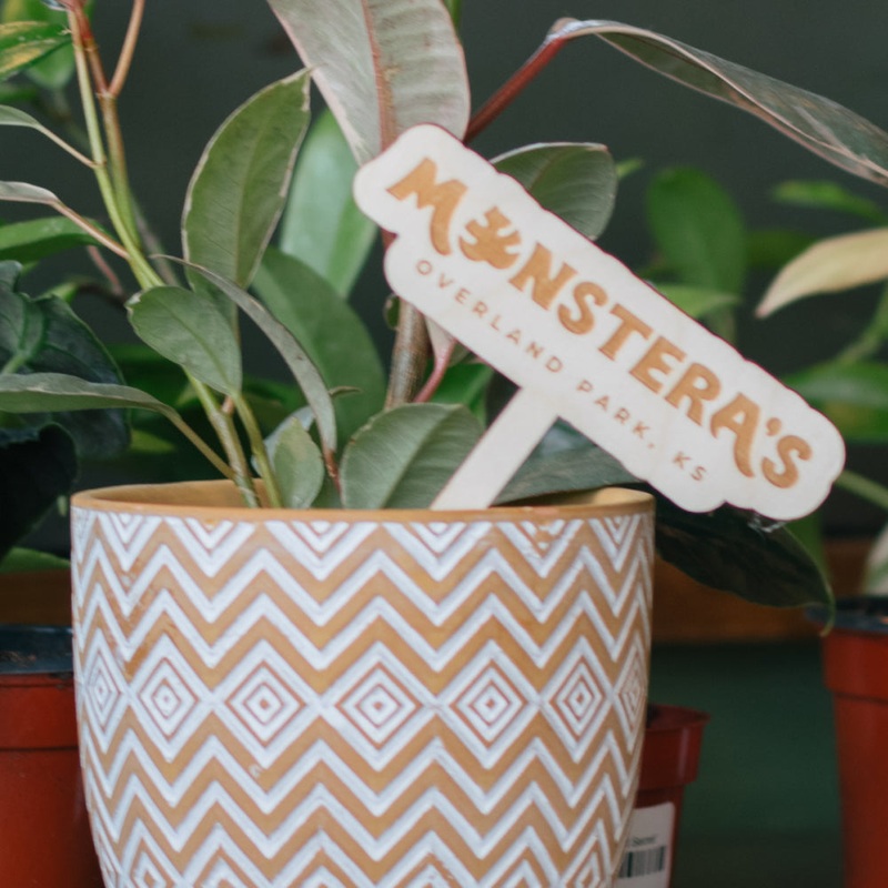 Monstera’s Books Wooden Plant Markers