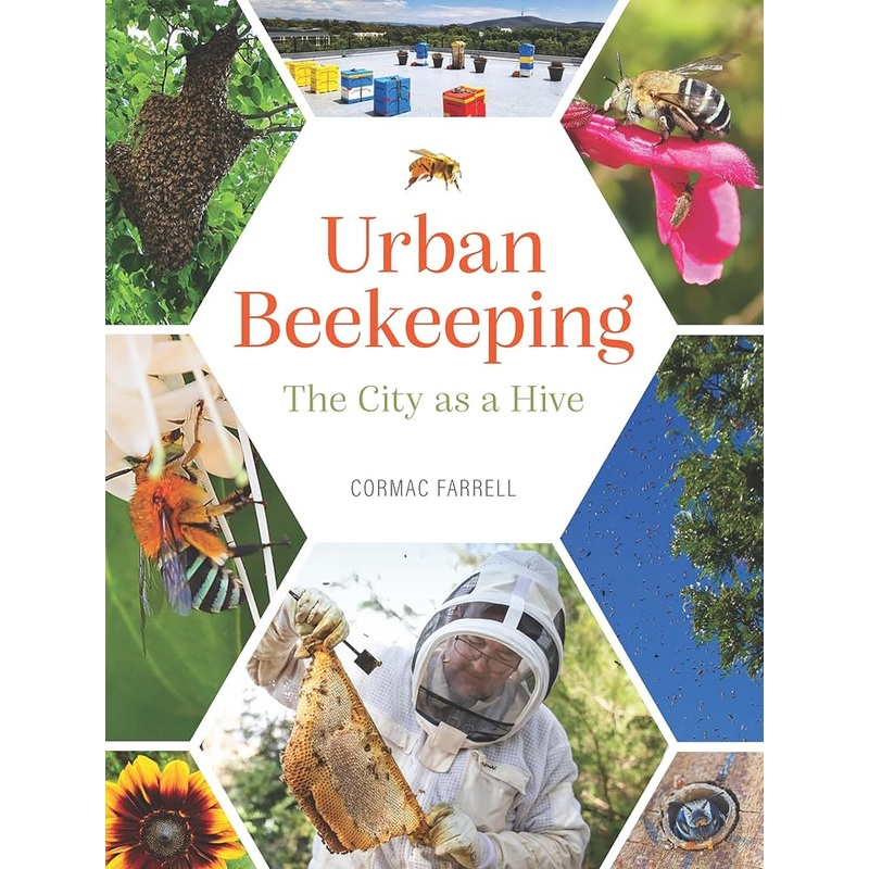 Urban Beekeeping: The city as a hive