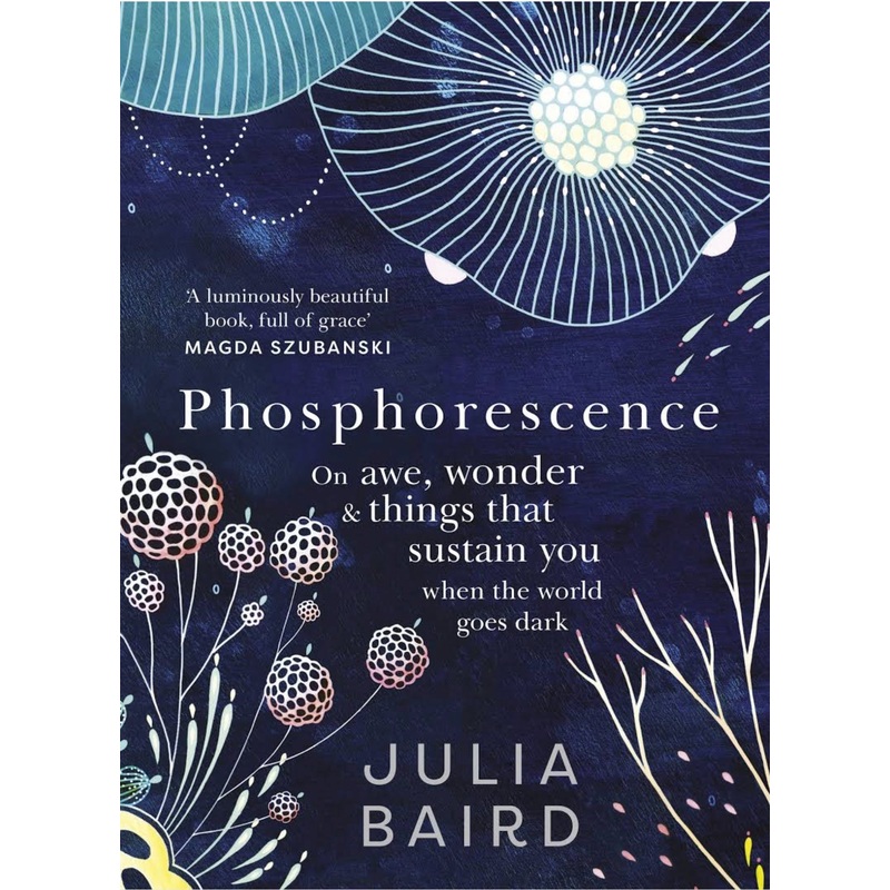 Phosphorescence: A Memoir of Finding Joy When Your World Goes Dark
