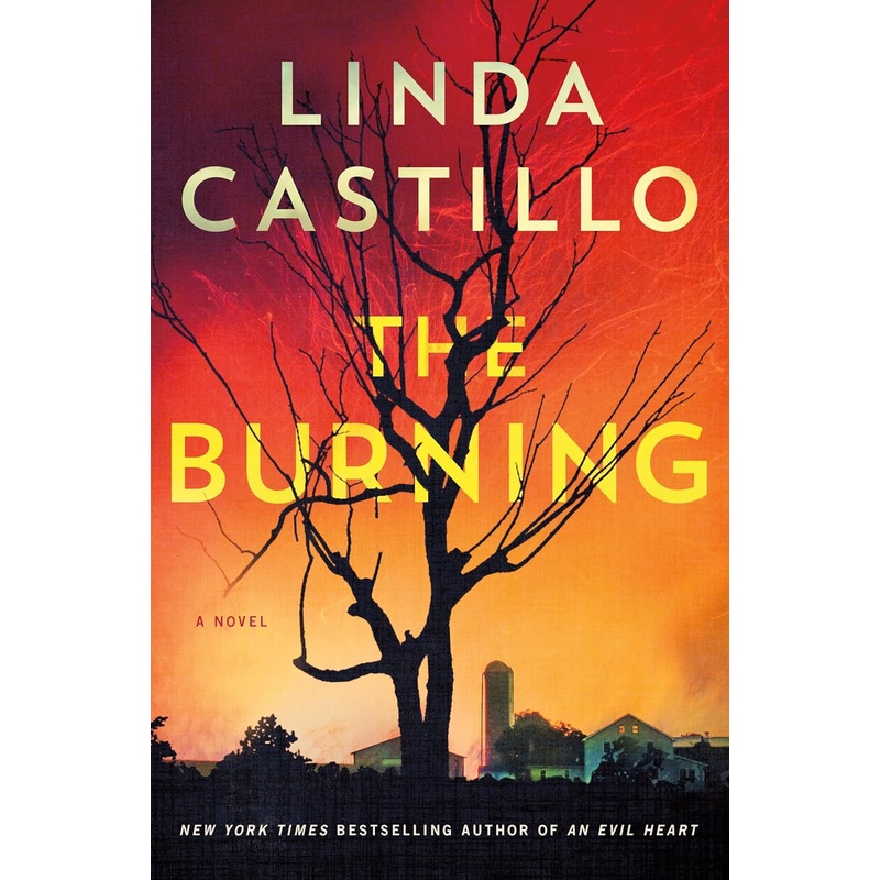 The Burning: A Novel Hardcover