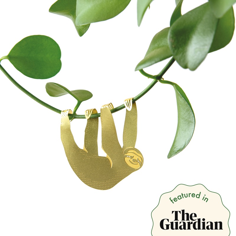 Plant Animal – Sloth, cute houseplant charm