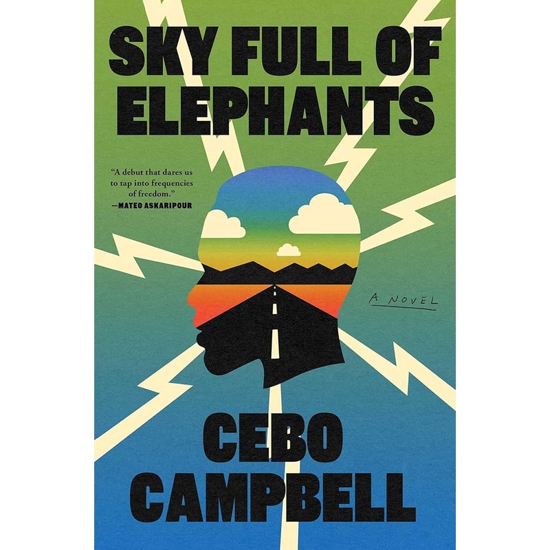 Sky Full of Elephants: A Novel