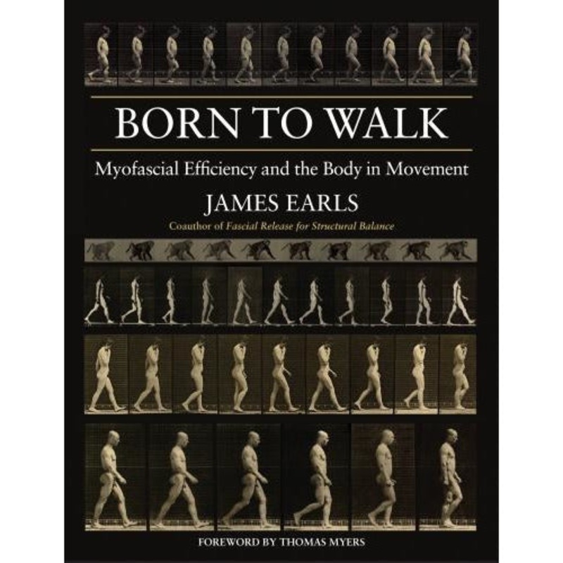 Born To Walk – Myofascial Efficiency And The Body In Movement