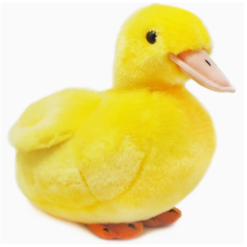 Dani the Duckling