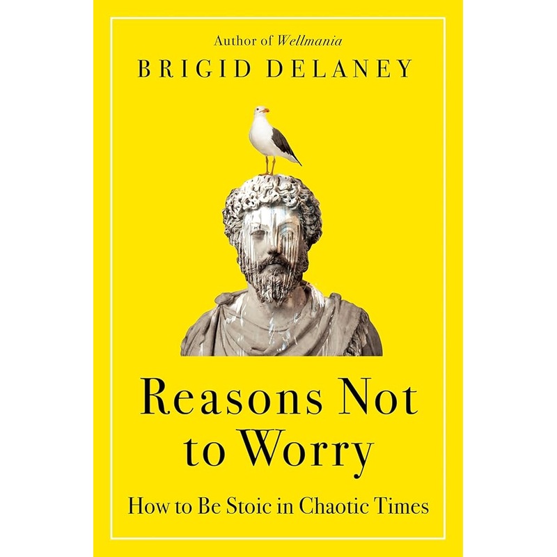 Reasons Not to Worry: How to Be Stoic in Chaotic Times