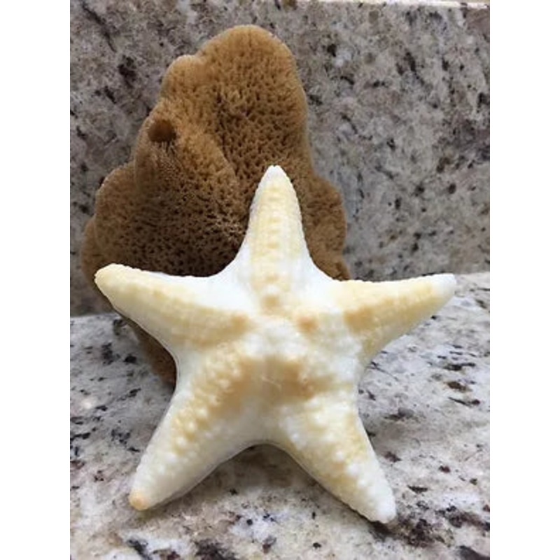 Starfish Soap