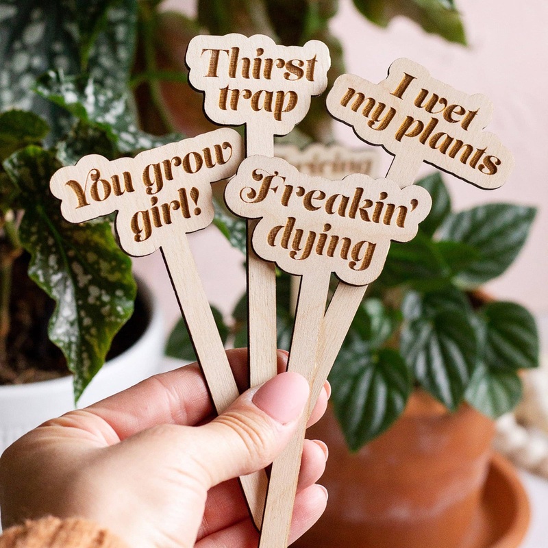 Wooden Plant Markers Cute AF
