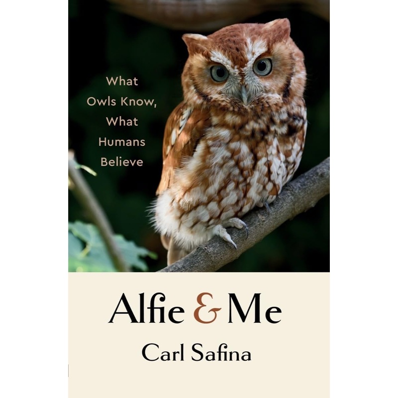 Alfie and Me: What Owls Know, What Humans Believe Hardcover