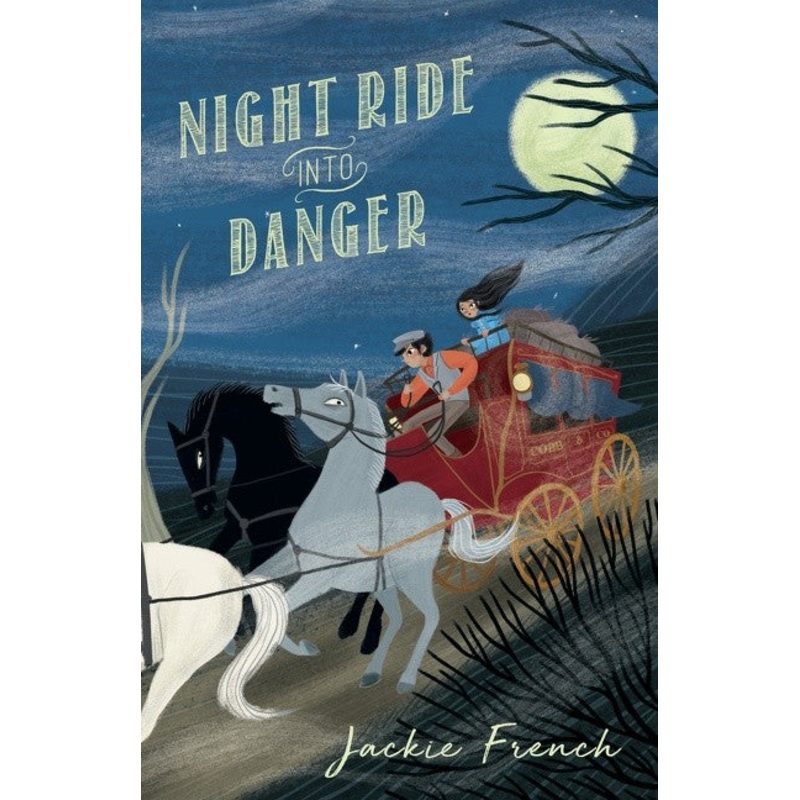 NIGHT RIDE INTO DANGER