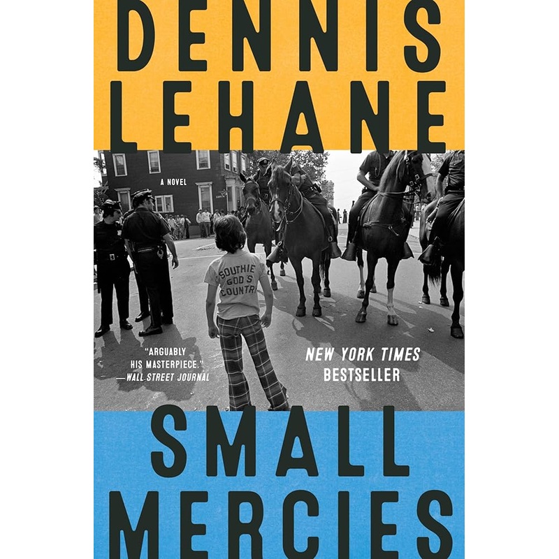 Small Mercies: A Novel