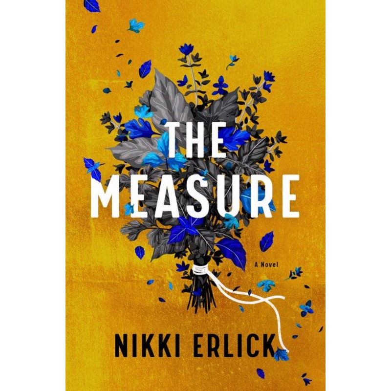 The Measure : A Novel