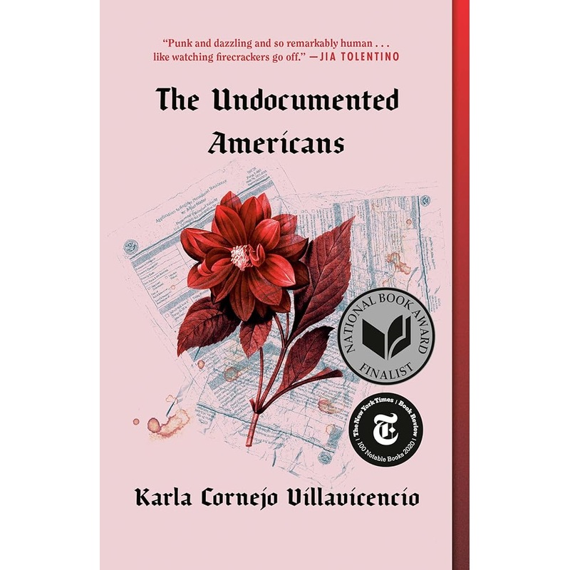 The Undocumented Americans