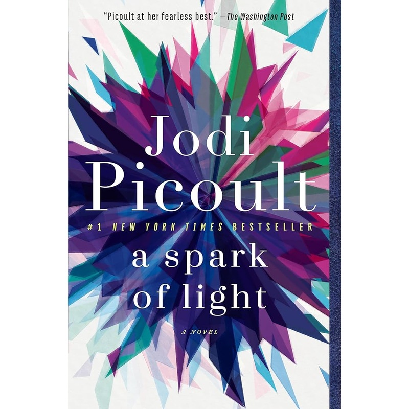 A Spark of Light: A Novel