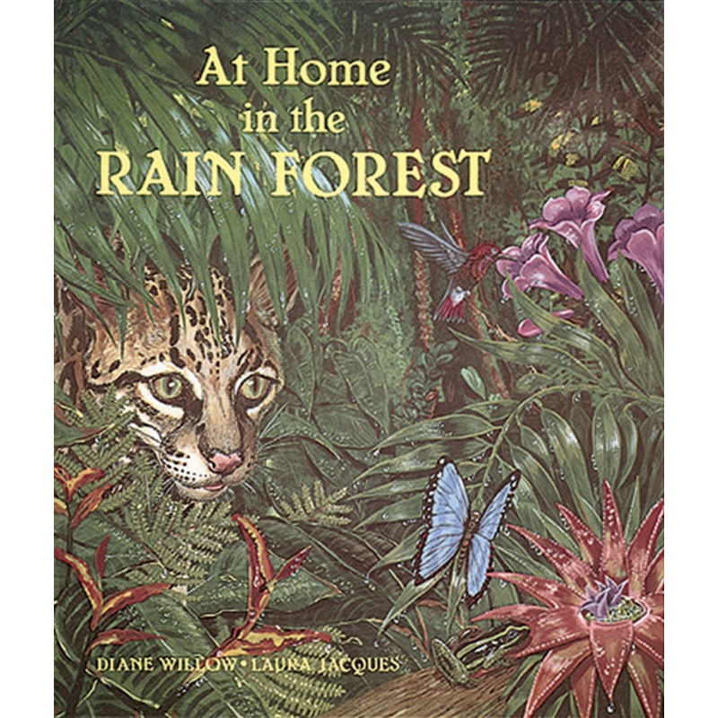 At Home in the Rain Forest