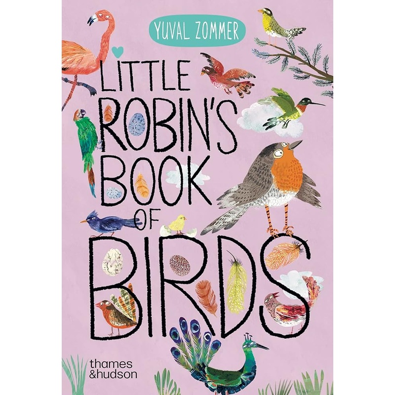 Little Robin’s Book of Birds (The Big Book Series, 16)