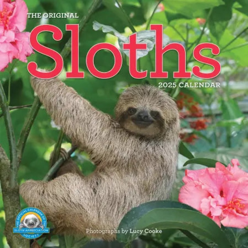The Original Sloths 2025 Wall Calendar