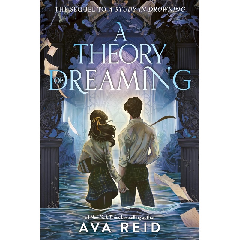 A Theory of Dreaming Hardcover