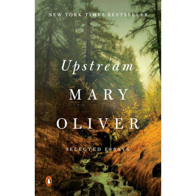Upstream