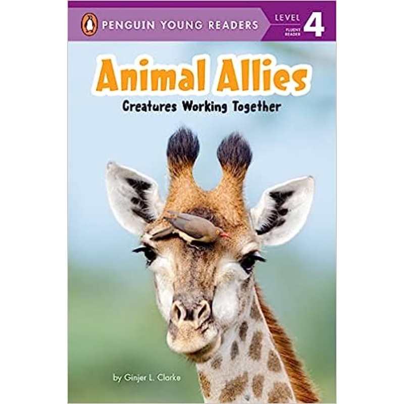 Animal Allies- Creatures Working Together (Hardback)