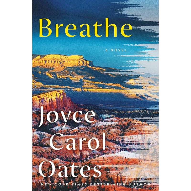 Breathe: A Novel