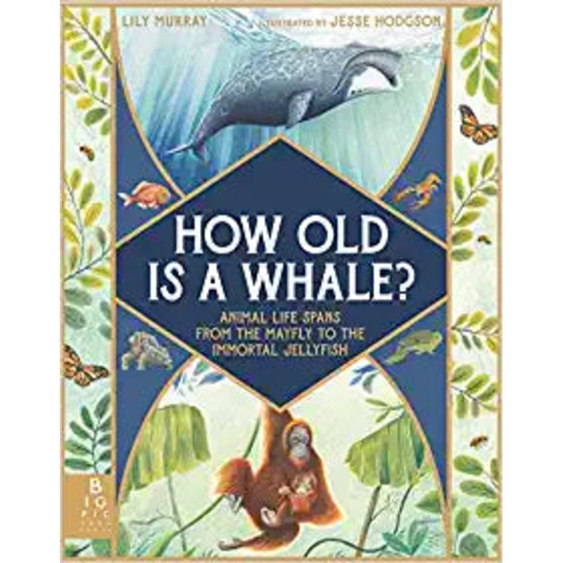 How Old Is a Whale?