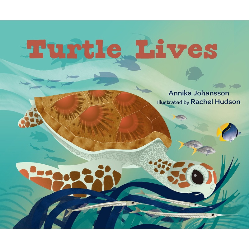 Turtle Lives