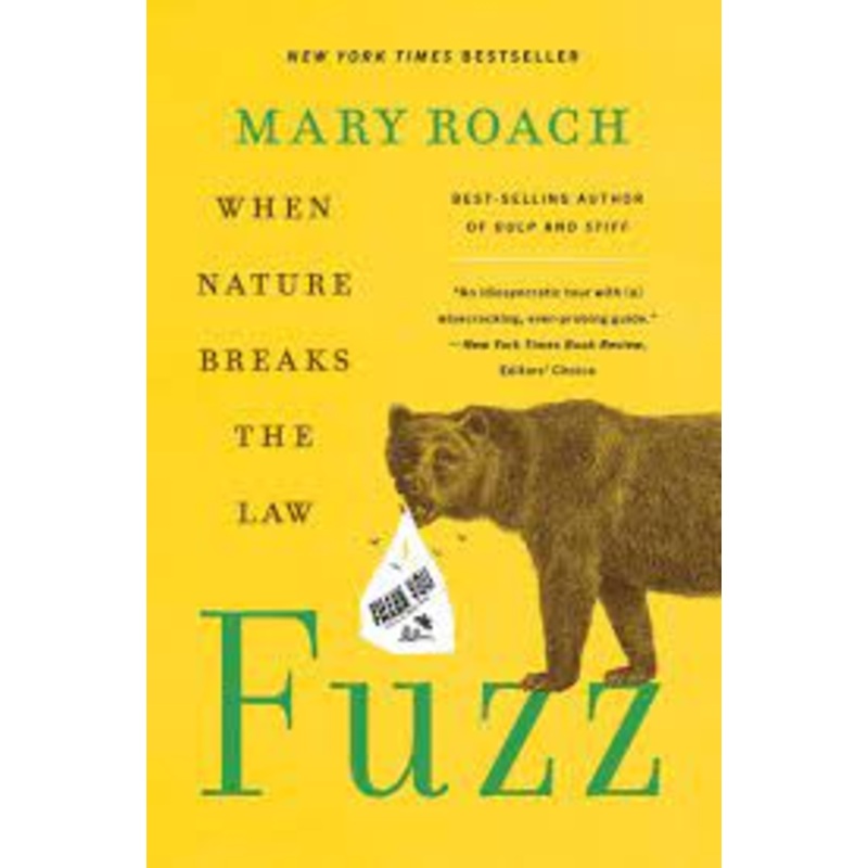 Fuzz