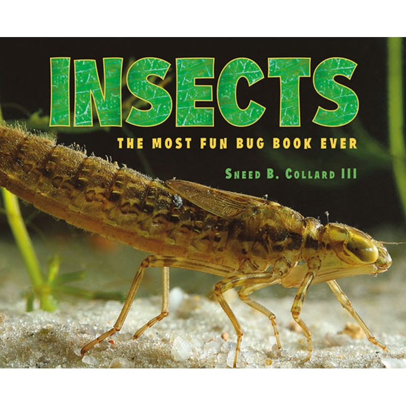 Insects