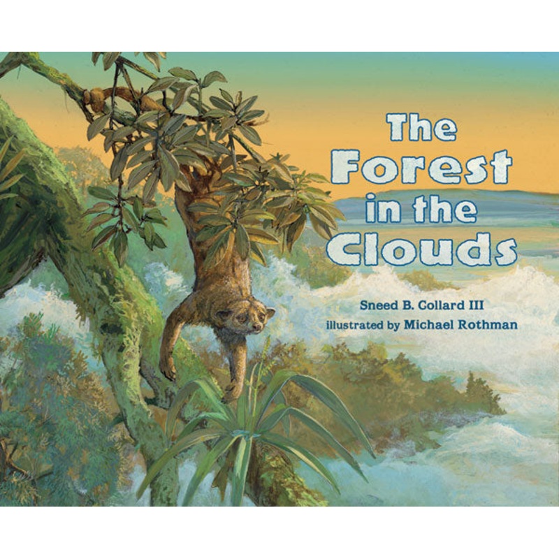 The Forest in the Clouds