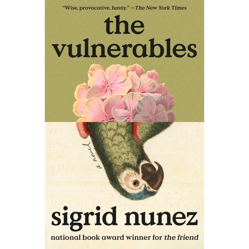 The Vulnerables