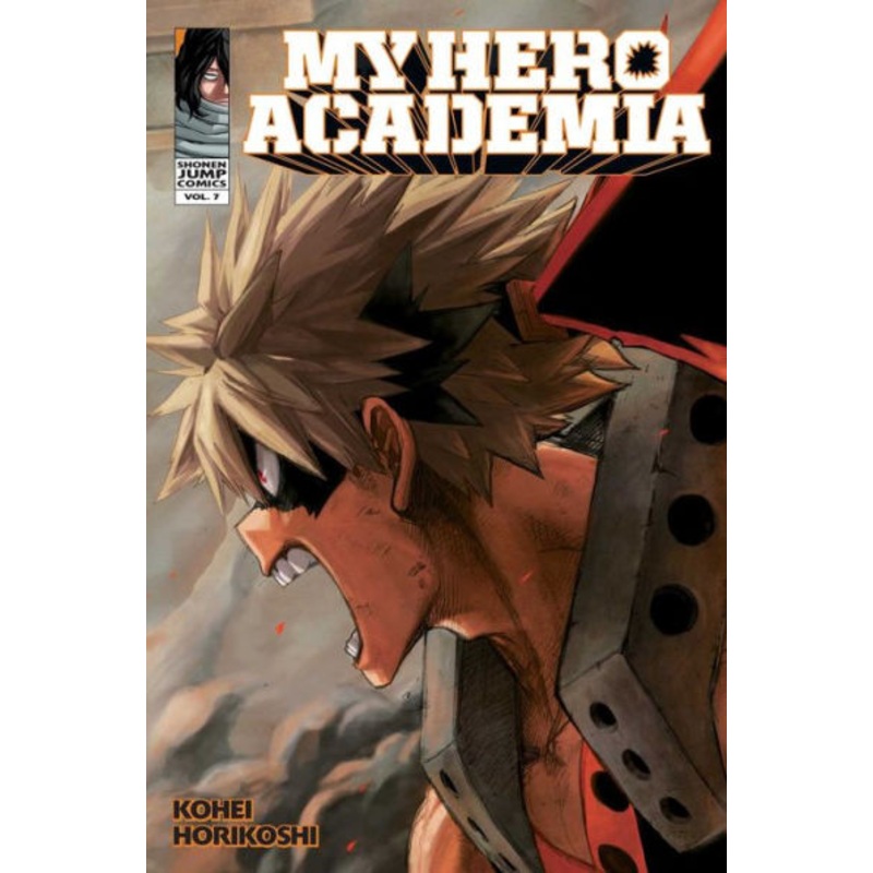 My Hero Academia, Vol. 7 Paperback