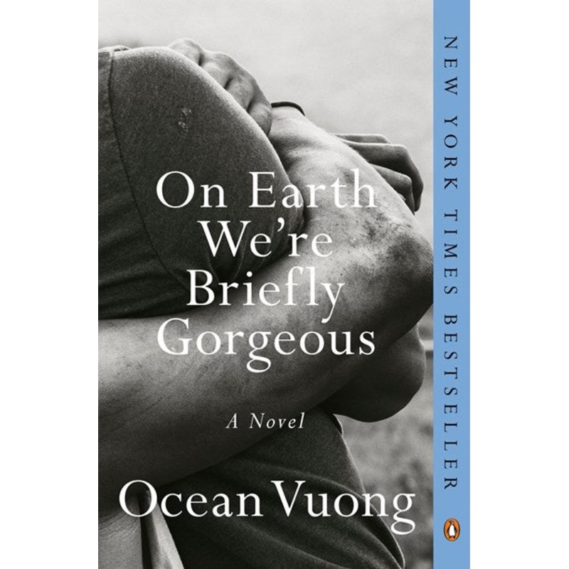 On Earth We’re Briefly Gorgeous : A Novel