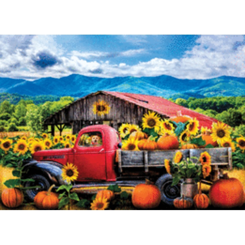 Sunflower Farm Puzzle