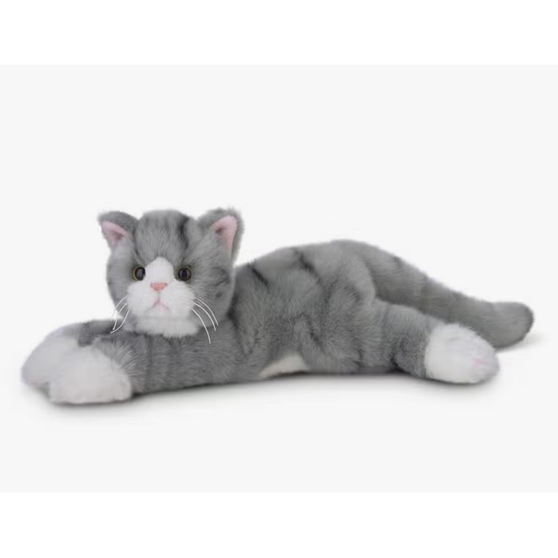 Socks the Gray Cat