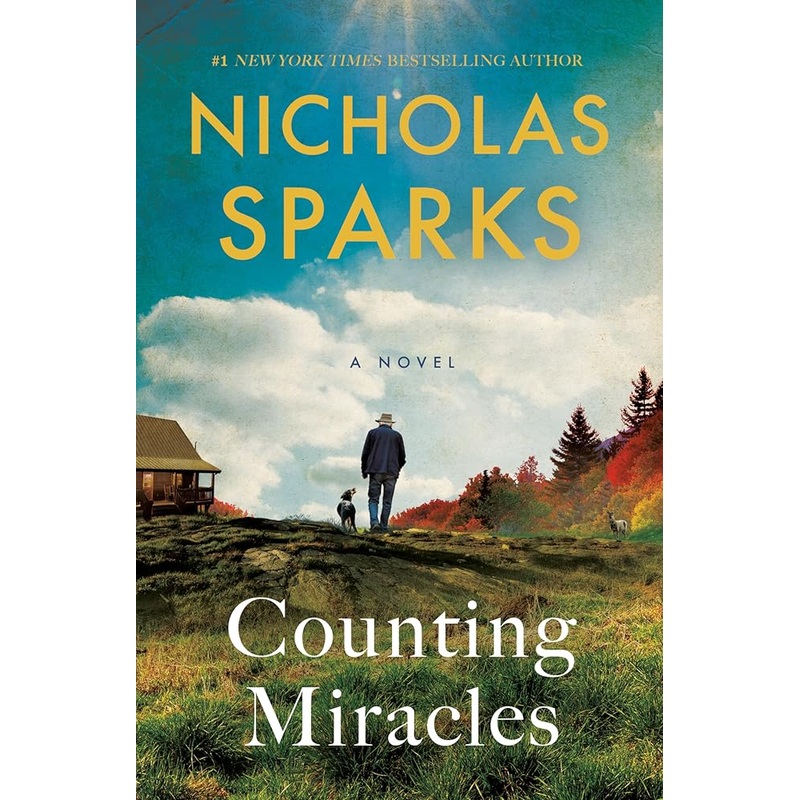 Counting Miracles: A Novel