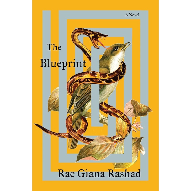 The Blueprint: A Novel