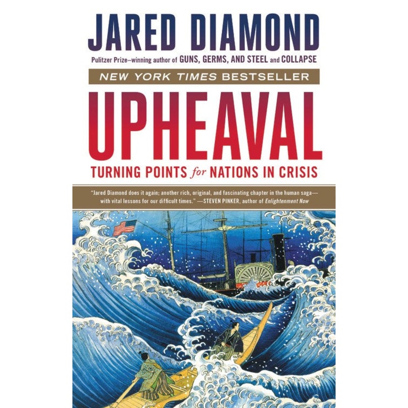Upheaval: Turning Points for Nations in Crisis