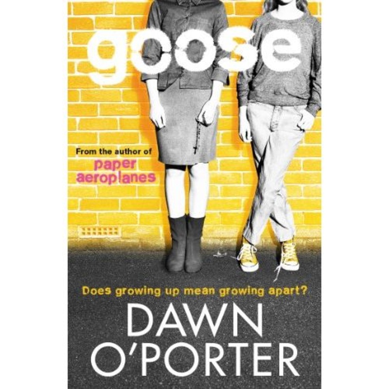 Goose (Paper Aeroplanes) by Dawn O’Porter