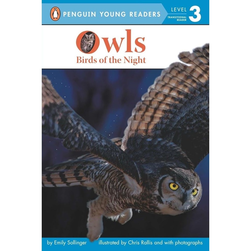 Owls: Birds of the Night