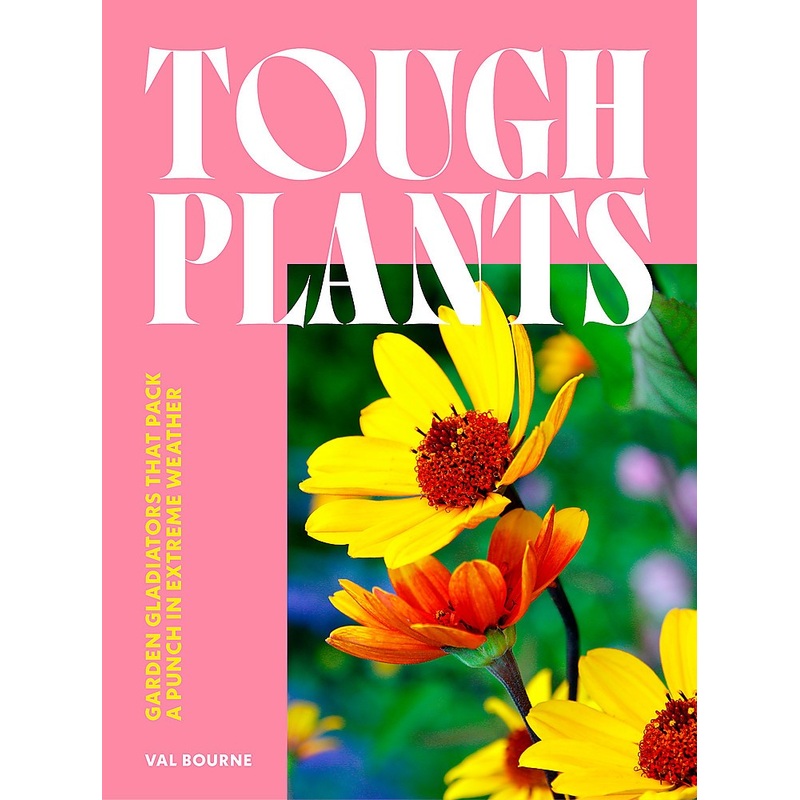 TOUGH PLANTS