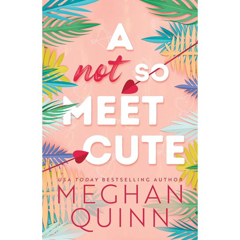 A Not So Meet Cute (Cane Brothers, 1)