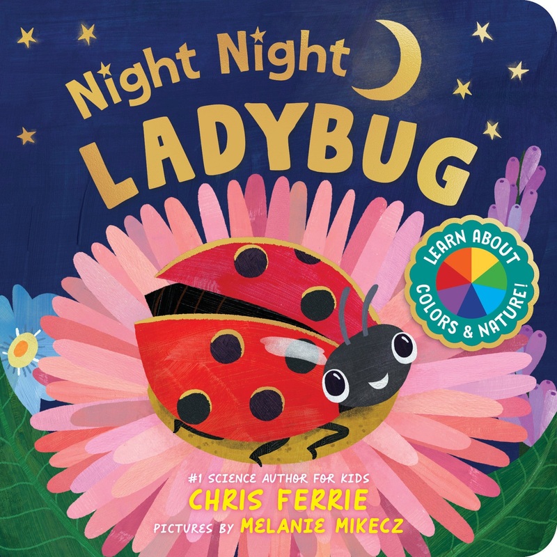 NIGHT NIGHT LADYBUG