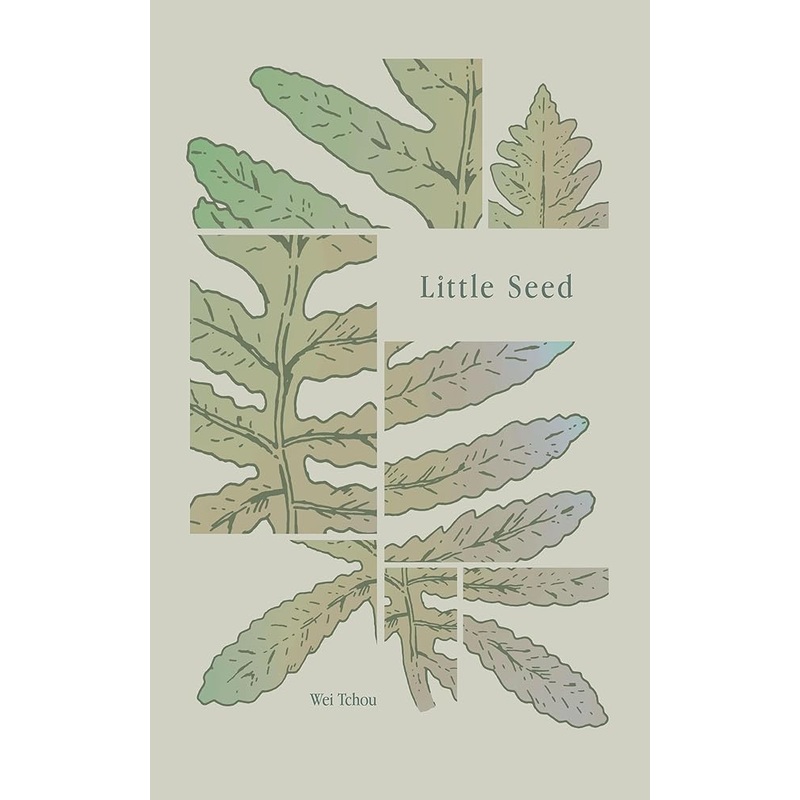 Little Seed