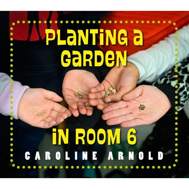 Planting a Garden in Room 6