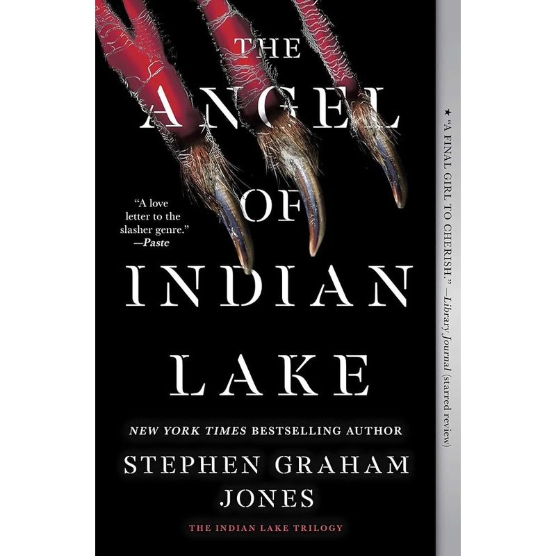 The Angel of Indian Lake (3) (The Indian Lake Trilogy)